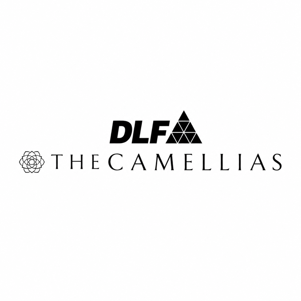 dlfcamellias