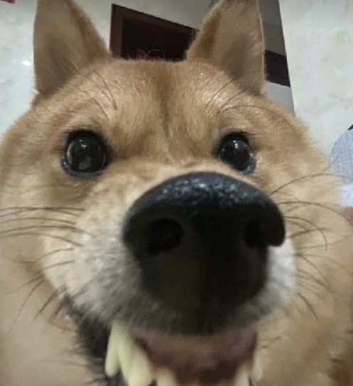 Yuhuanbeiye