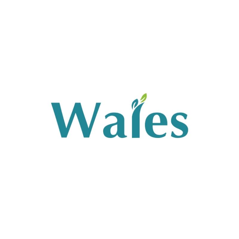 walesindustries