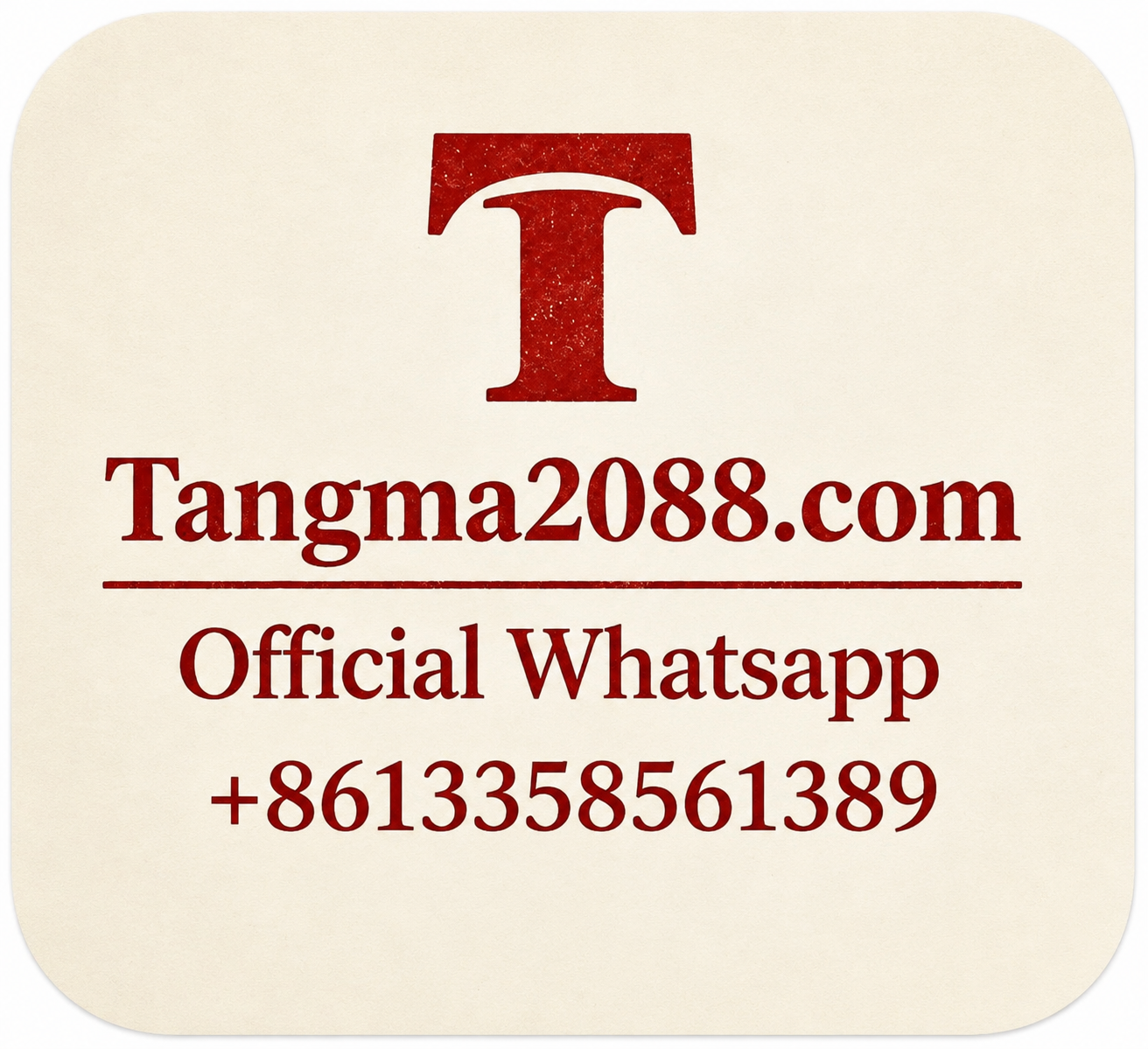 tangma2088 Official WhatsApp Support +8613358561389 🚀 PREMIUM FASHION WHOLESALE!