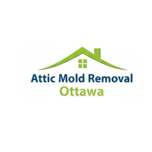 atticmoldremovalottawa
